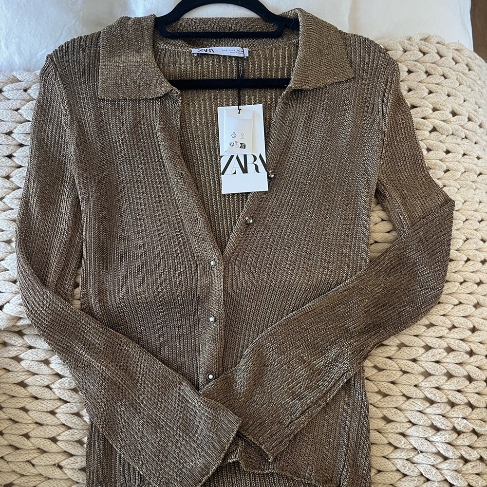 ZARA metallic blouse